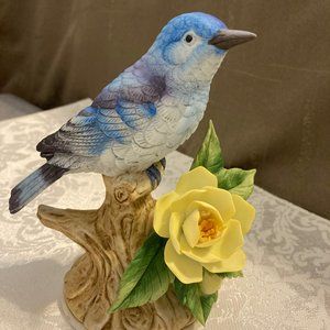 Mountain Bluebird  Andrea by Sadek